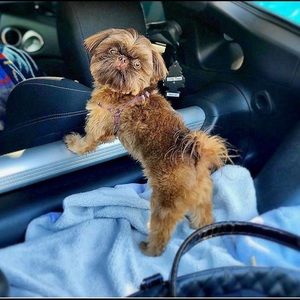 Meet your Posher, Rosa